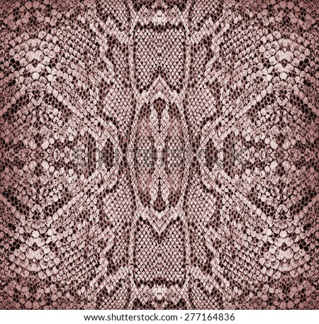 Background - texture of snake skin - Reptiles - Red