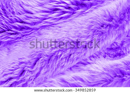 Background - texture of the fur - Purple