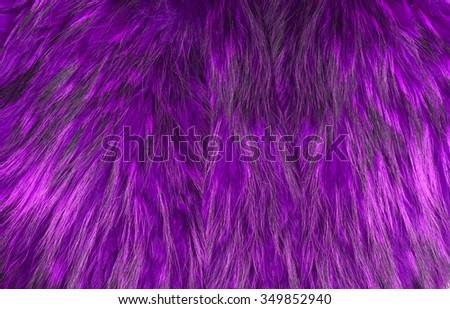 Background - texture of the fur - Purple