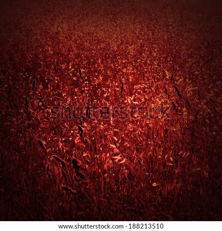 Red herbal vintage texture background