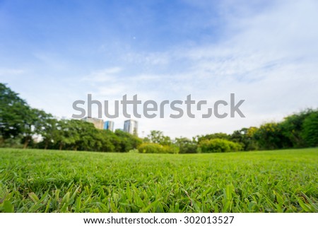 Grass in the park background with sky and office building