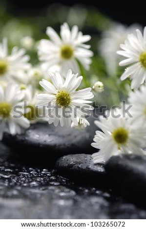 bouquet of white flower and black stones with water drops