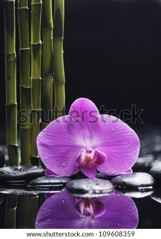 Spa still life with orchid and zen stones with bamboo grove reflection