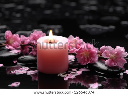 cherry tree branch with candle on zen stones