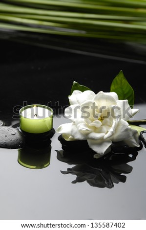 Spa still life with gardenia flower and candle, green plant
