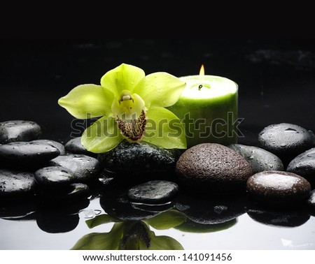 Green orchid and green candle on black stones