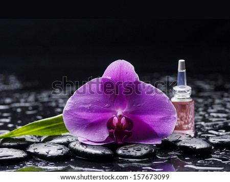 Still life with pink orchid ,massage oil, green leaf and zen stones
