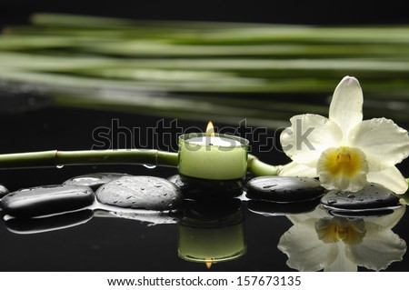 Still life with white orchid and stones with candle green bamboo leaves