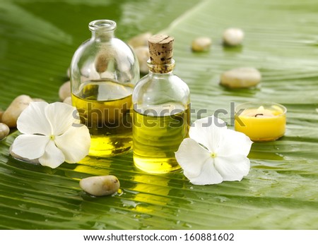 Health spa with massage oil and white flower ,candle on leaf