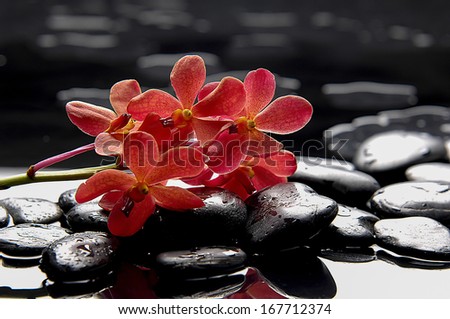 branch orange orchid with therapy stones in water drop