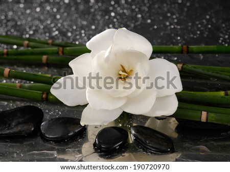 spa concept Ã¢Â?Â?gardenia flower with thin bamboo grove