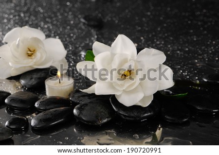 Two gardenia flower and candle on pebbles Ã¢Â?Â?wet background