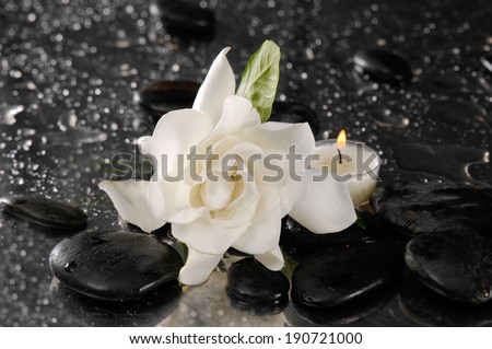 gardenia flower and candle on pebbles