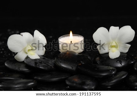 Two white orchid with white candle and therapy stones