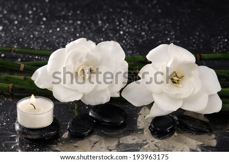 spa concept Ã¢Â?Â?gardenia flower with white candle and bamboo grove