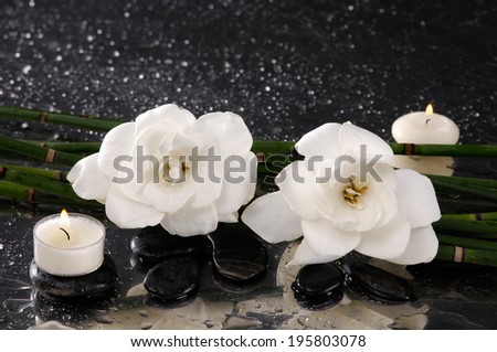 spa concept Ã¢Â?Â?gardenia flower with candle and bamboo grove on wet