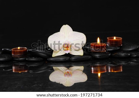 Still life with white orchid with therapy stones and three candle