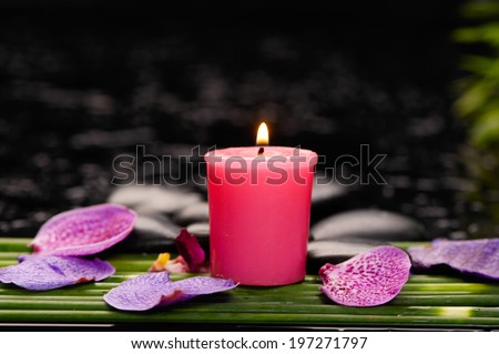 spa concept Ã¢Â?Â?orchid plants and red candle with row of plant stem