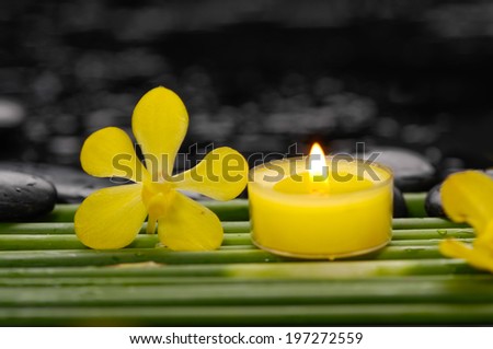 spa concept Ã¢Â?Â?yellow orchid and candle with green plant stem