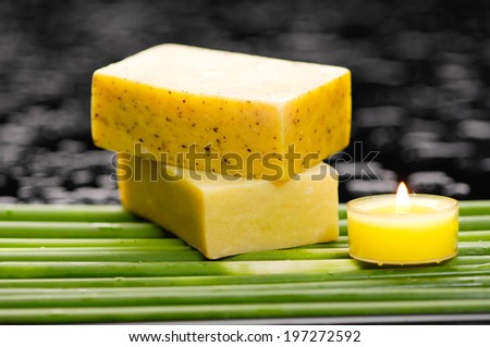 spa concept Ã¢Â?Â?stacked soap and candle with green plant stem