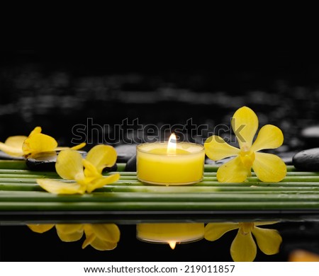 Still life with yellow orchid with candle on set of plant stem