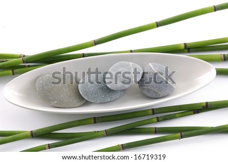 Lucky bamboo with zen stones