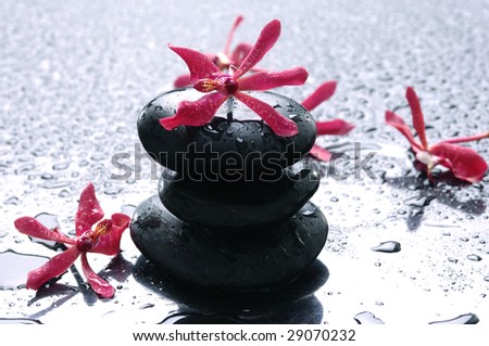 Balance with red flower-spa icon