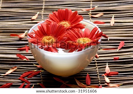 Spa background - red flower with petals in a bowl