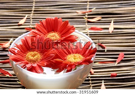 Spa background - red flower with petals in a bowl