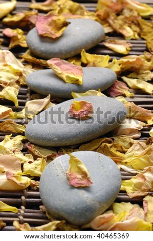 Row of stones with rose withered petals