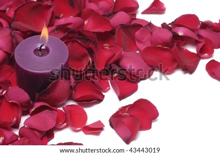 red rose and purple candle on white