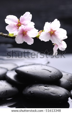 Stacked therapy stones with water drops and cherry tree branch