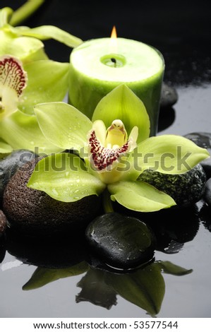 http://image.shutterstock.com/display_pic_with_logo/220831/220831,1274403259,1/stock-photo-spa-still-life-and-green-orchid-flower-and-candle-53577544.jpg