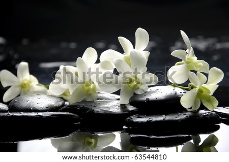 Zen Stones And Pink Orchids With Reflection Stock Photo Zen Stones And Pink Orchids With Reflection Stock Photo