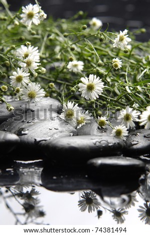 bouquet of white flower with black stones reflection