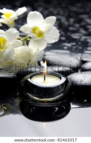 aromatherapy candle and zen stones with branch white orchid