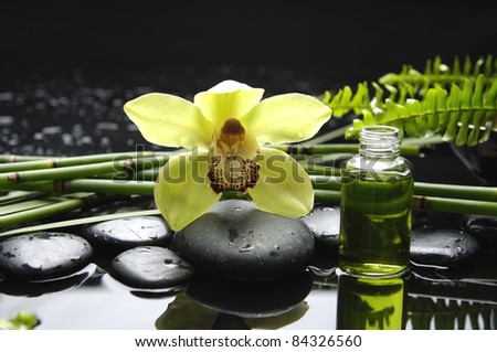 yellow orchid with bottle of essential oil and green plant on pebbles