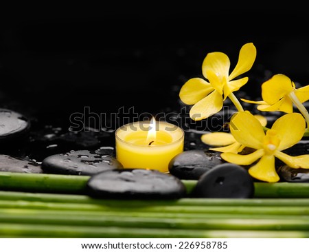 yellow orchid and candle with green plant stem