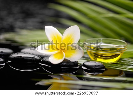 frangipani flower with oil in bowl on pebbles with green plant