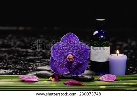 Still life with orchid and candle, oil, with row of plant stem