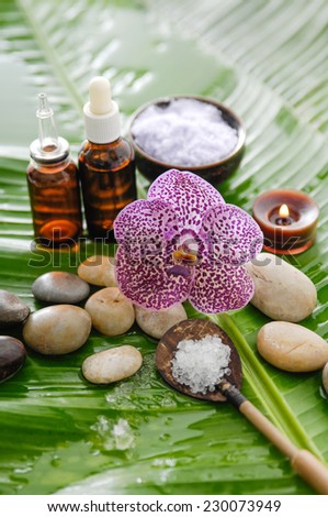 spa supplies with orchid, oil, candle , salt in spoon ,on banana leaf