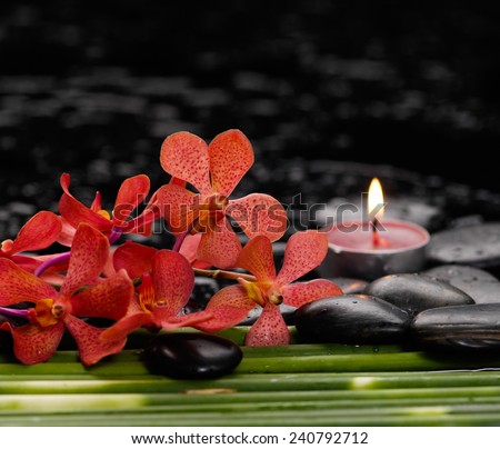 spa concept Ã¢Â?Â?red orchid and ,stones ,candle green leaf