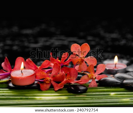 Branch red orchid with candle on pebbles with green plant