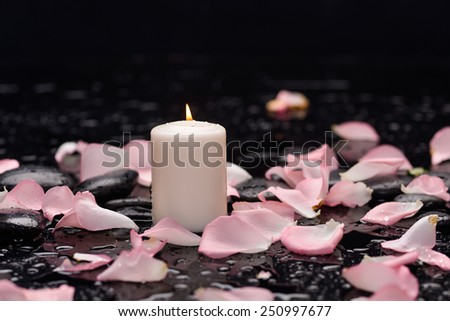 Still life with pink rose petals with white candle and therapy stones