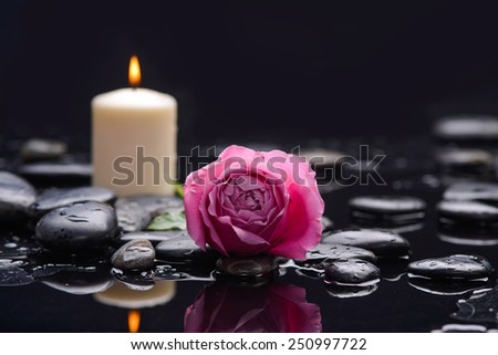 Beautiful rose with white candle and therapy stones ,