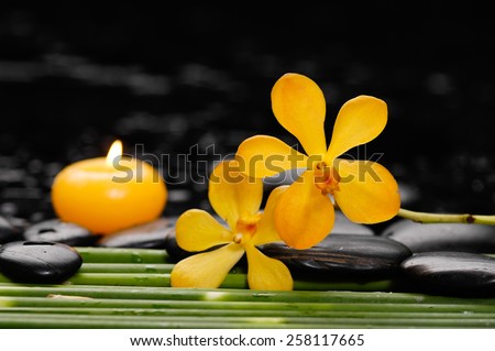 Still life with candle with yellow orchid on long plant