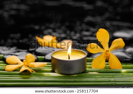 Still life with orchid and candle, with row of plant stem