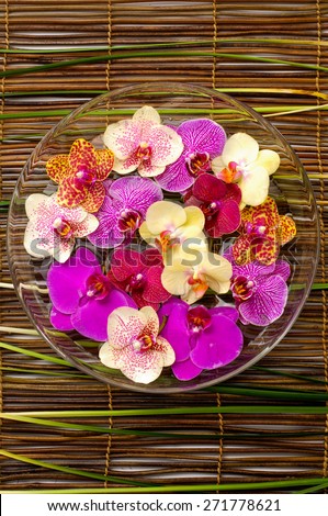 Bowl of colorful orchid with green plant on bamboo mat