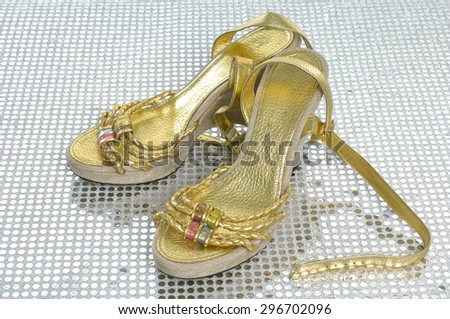 Elegant expensive women shoes