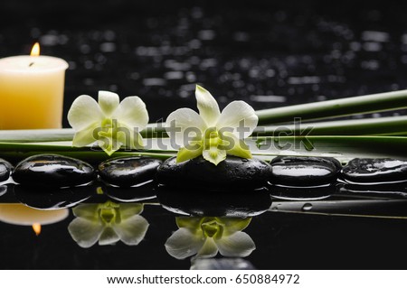 still life with pebbles and two orchid ,candle,plant